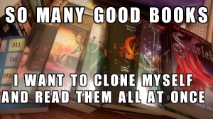 An array of great books waiting to be read