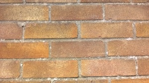 A blank, brick wall
