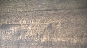 No books whatsoever!